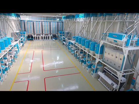 20 TPH Turnkey Rice Mill - (20 Ton/Saat kapasiteli anahtar teslim çeltik pirinç işleme tesisi)