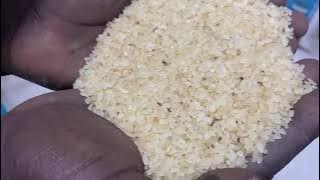 Nijerya “Kanos Sultan Rice” factory 10 TPH #paddy #rice #ricemill #paddydryer #ricemachine