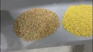 #colorsorter #grainsorter #wheat #corn #paddy #rice #ricemill #polisher #whitener #machine