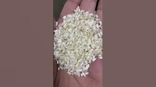 #colorsorter #rice #paddy #ricemill #inspection machine #pirinç renk ayırıcı #paddymachine